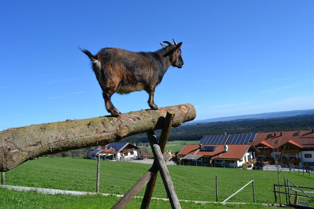 Bussjaegerhof Villa Schonberg  Eksteriør billede